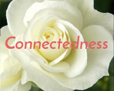 Connectedness Service