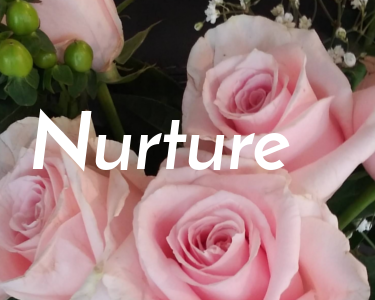 Nurture Service